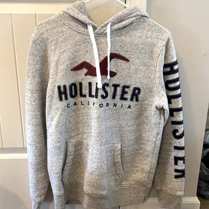 Hollister Hoodie Men’s Adult Small